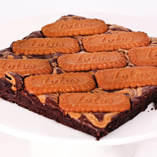 Biscoff Brownies - Slab Brownie Darling